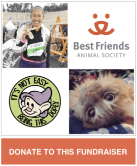 Amara-Dopey-Fundraiser