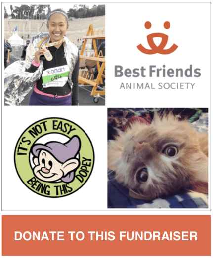 Amara-Dopey-Fundraiser